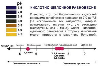 кислотно-щелочное равновесие